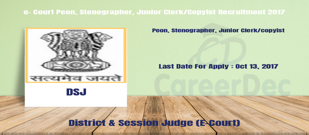 e- Court Peon, Stenographer, Junior Clerk/Copyist Recruitment 2017 Cover Image
