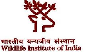 Wildlife Institute of India